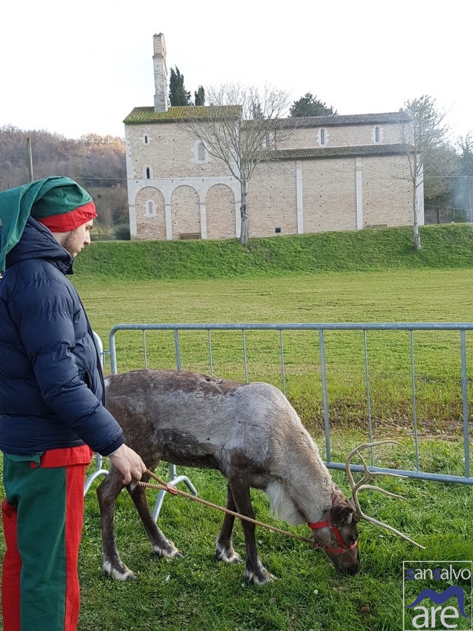 Prodotto Topico a Castel Castagna-93