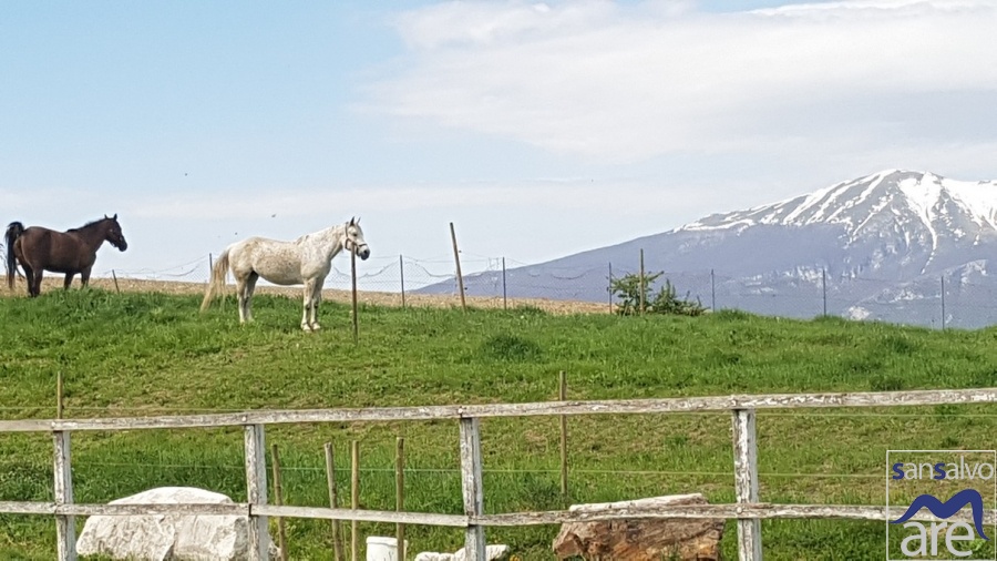 Torricella Peligna-9